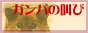 �K���o�̋���